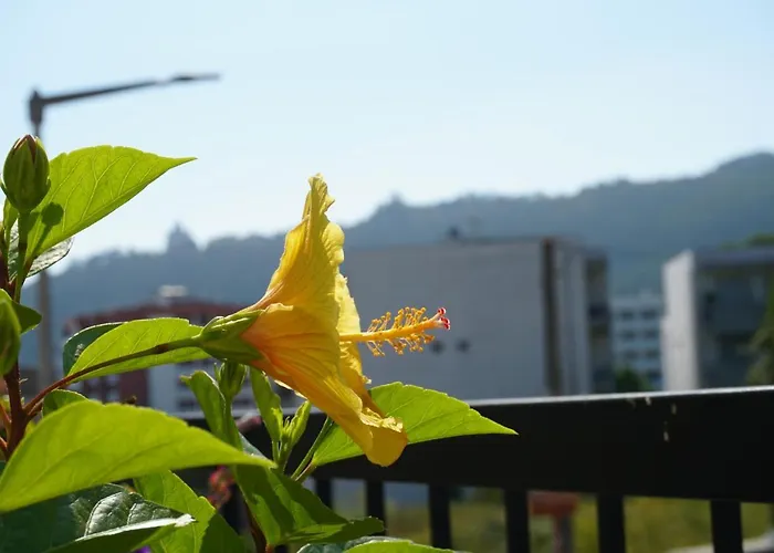 Jardim Da Celeste