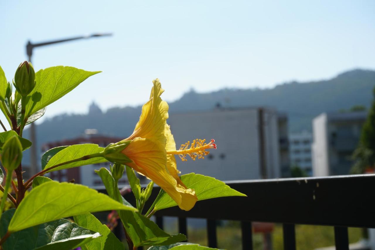 Homestay Jardim Da Celeste