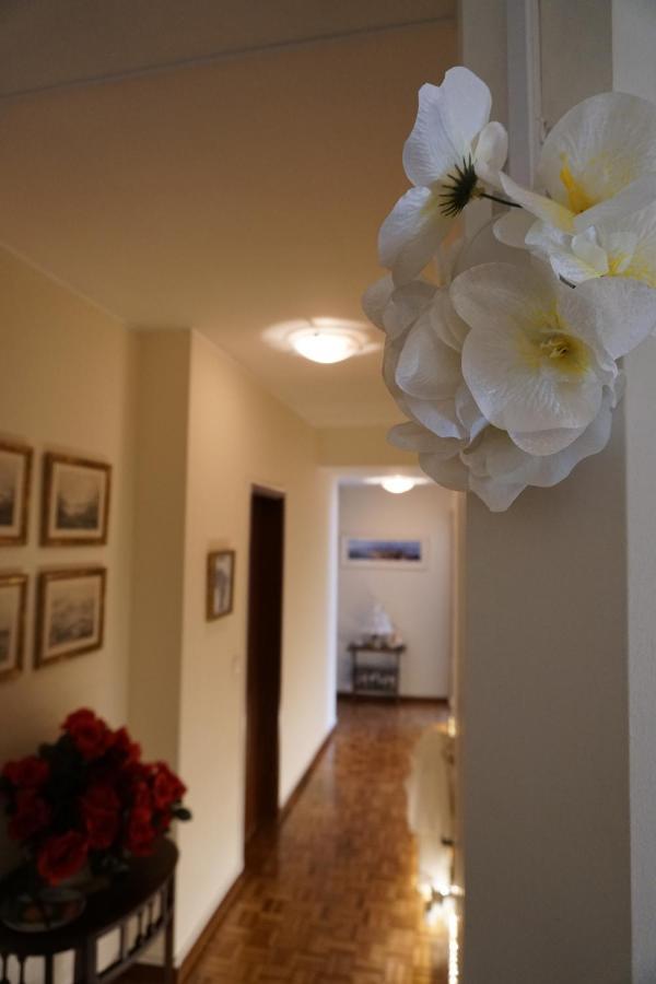 Homestay Jardim Da Celeste *